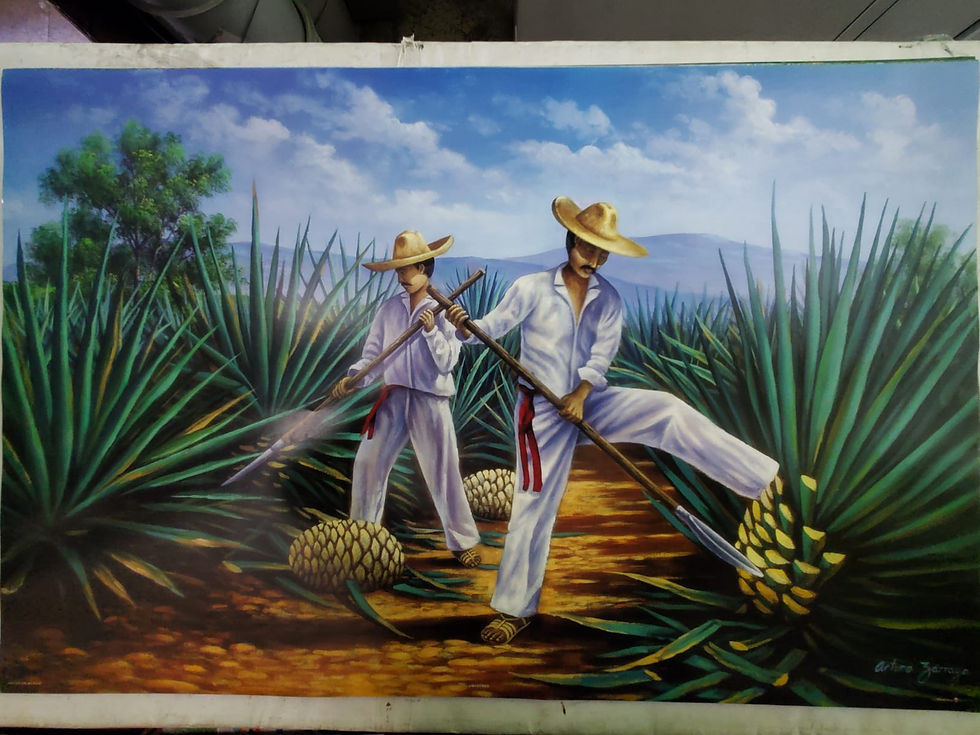 Miniatura: Paisajes mexicanos 01