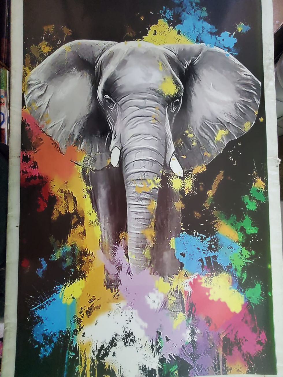 Miniatura: Elefantes