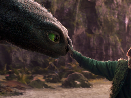 How To Train Your Dragon 2025 still