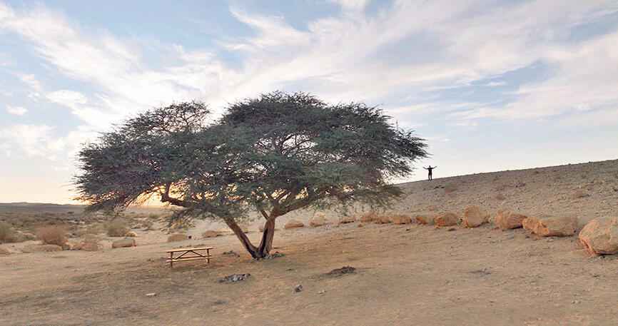 תמונה מתוך ברנינג מן
