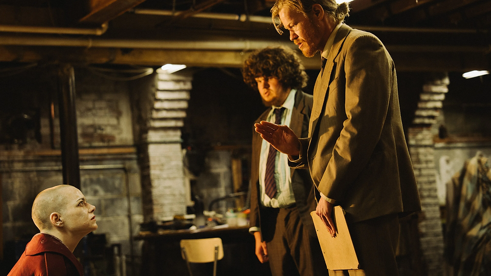 מתוך ״בוגוניה״