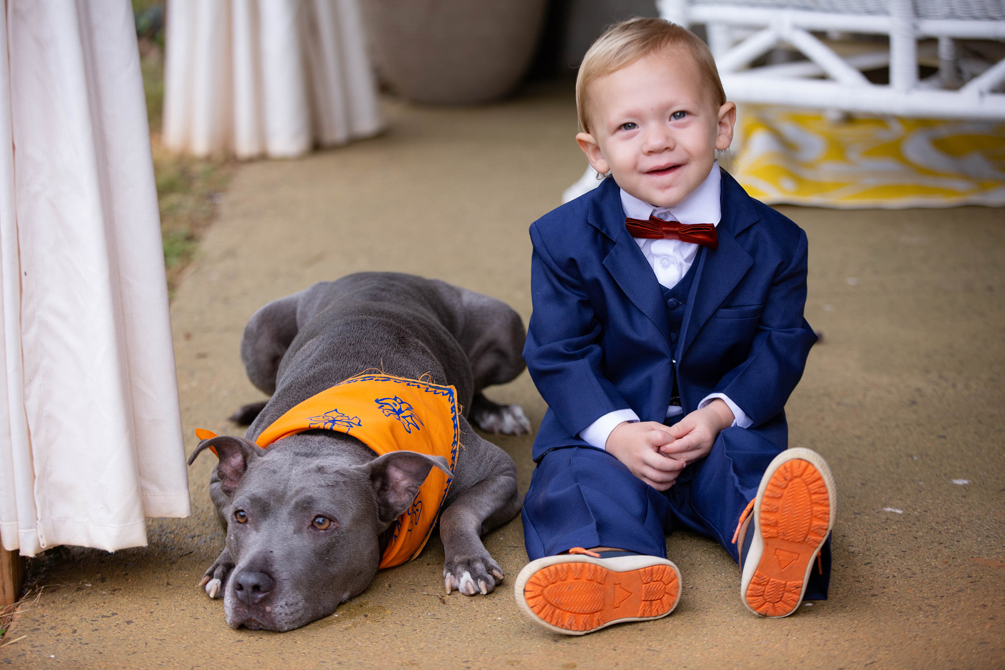 Flower Dog & Ring Bearer