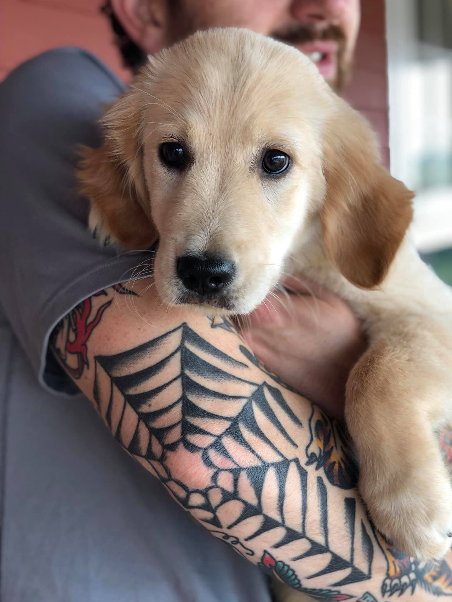 A Service Dog in the Making