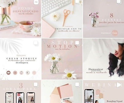 _lonyflores branding en instagram.jpg