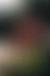 Unique Red Wedding Floral Arch