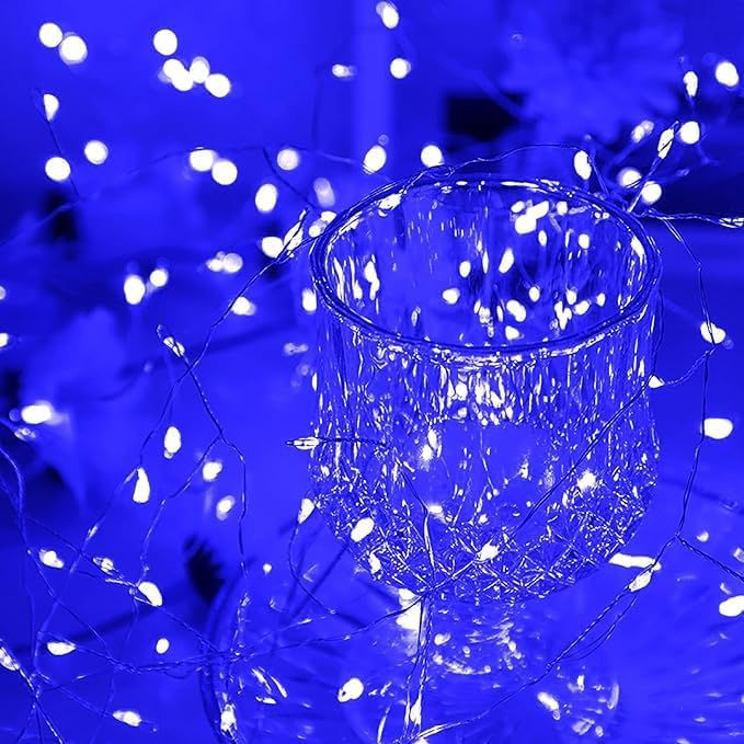 Thumbnail: ZYF-D255 50m Firecracker Copper Wire 1000LI P44 With Remote Control 220V Blue