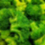 Steamed Broccoli-Family Style