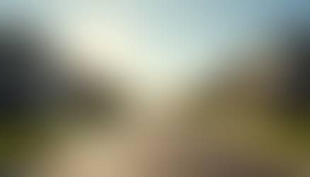 Placer County Housing Market Trends