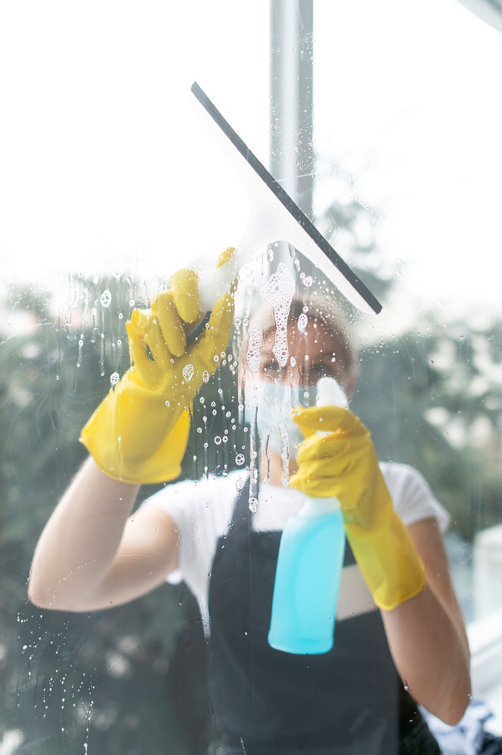 person-taking-care-office-cleaning (1).jpg