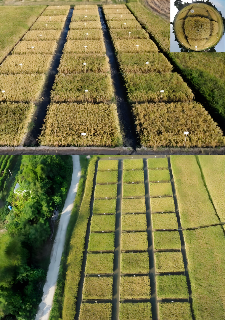 Pangasinan, Philippines (1).png