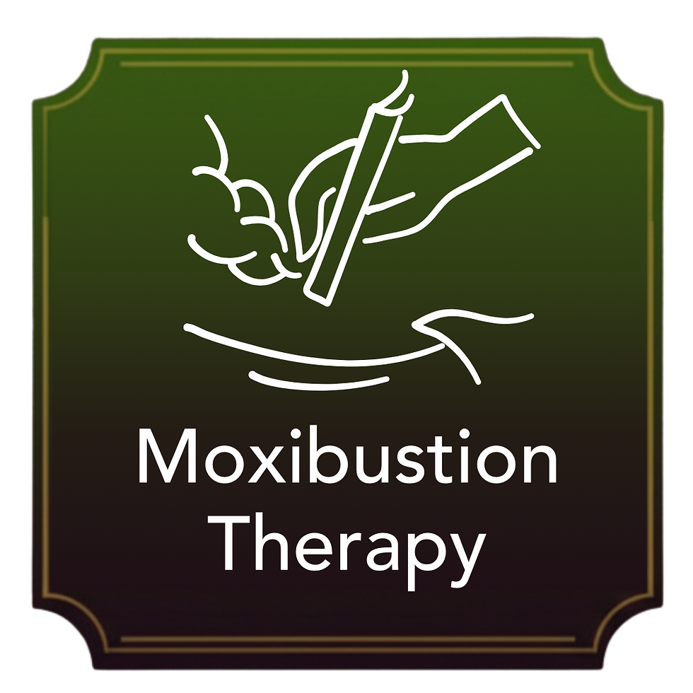 Moxibustion Therapy (1).png