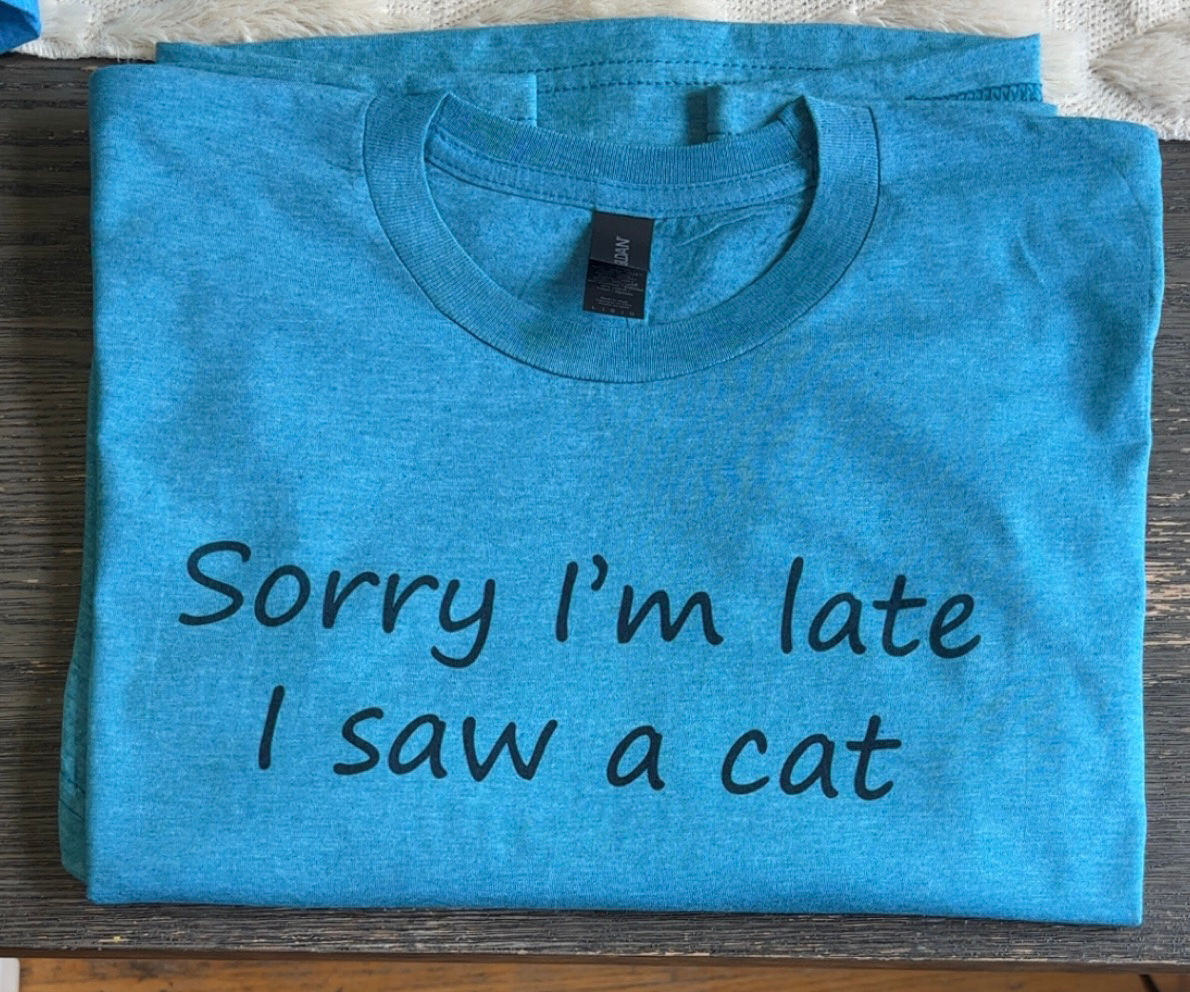 I Saw A Cat