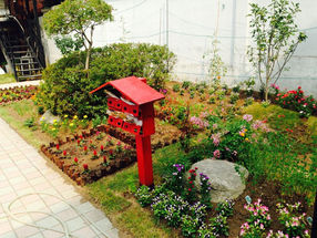 our home