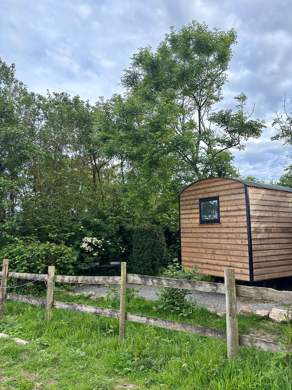Exterior Hut.jpeg