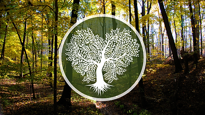 The Giving Tree Project Business Cards (Presentation).png