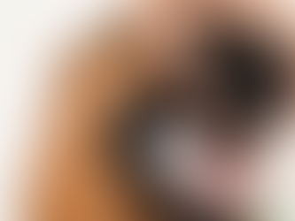A dog with the owner brushing his teeth.