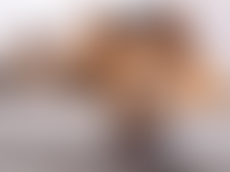 A dog and a cat resting in a living room.