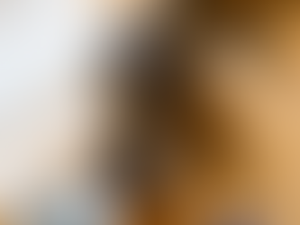 A cat eating in a living room. 