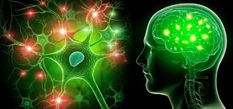 The Quiet Health Crisis We’re Not Talking About Enough