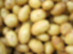 Potatoes