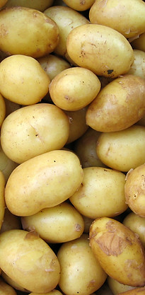 Potatoes Genetically Modified Food Testing Genetech