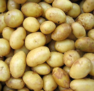 Potatoes