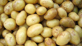 Decision Making goes far back in 1906 : rhymes with Potato...