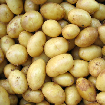Potatoes
