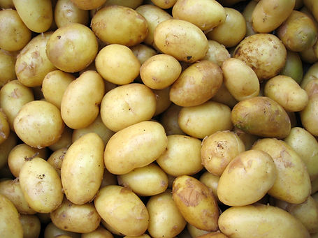 Fresh Potatoes Heap