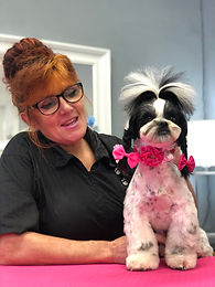 L2 & L3 for groomers (Reduced Learning Hourse)