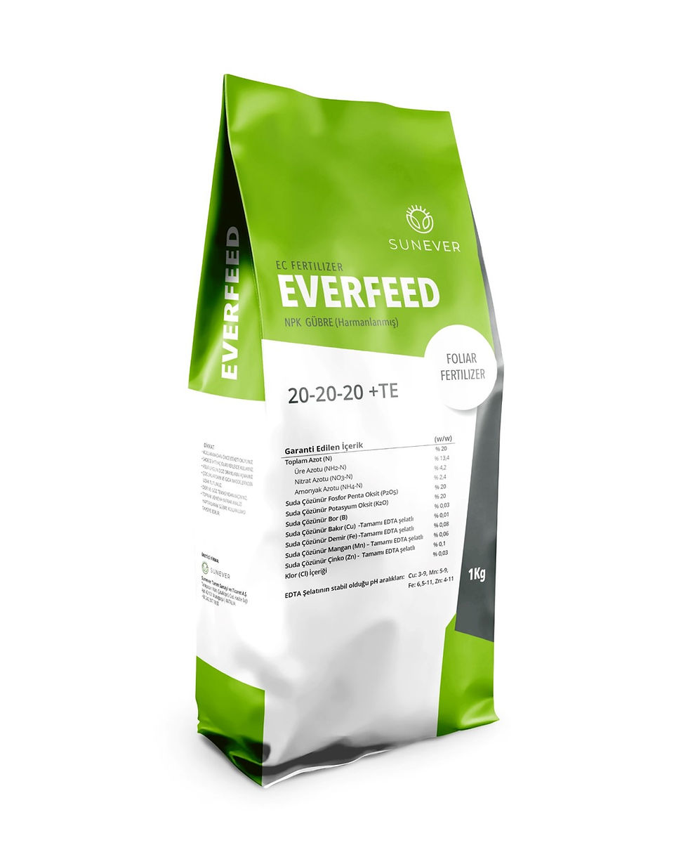 everfeed