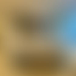 FEGIME ESPAÑA visita el showroom de JUNG en Madrid