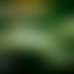 INTERFLEX lanza la Gama ECOLINE de NYLOFIX: Una Apuesta Audaz por la Sostenibilidad en la Industria