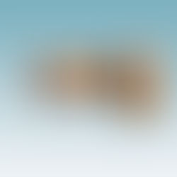 Monobloques con dos puntos de conexión de Phoenix