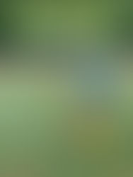 EsPa 2018 joukkue aloittaa toimintansa