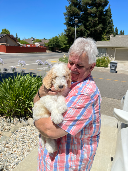 Ur Favorite Doods - Customer