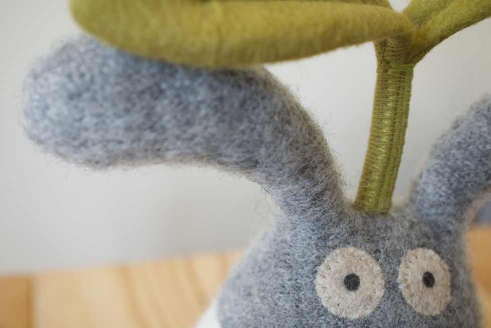 Miniature : timimi (pousse tout jour)