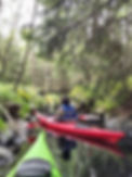 IMG_20230803_111802.jpg
