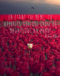 mes richesses interieures