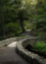 walk across a bridge in a wooded area