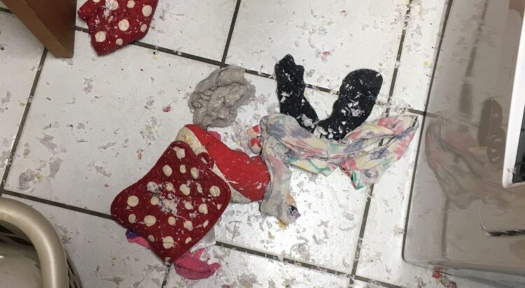 Laundry fiasco. When paper attacks!