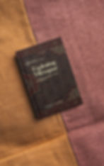 mirzapur mockup_edited_edited.jpg
