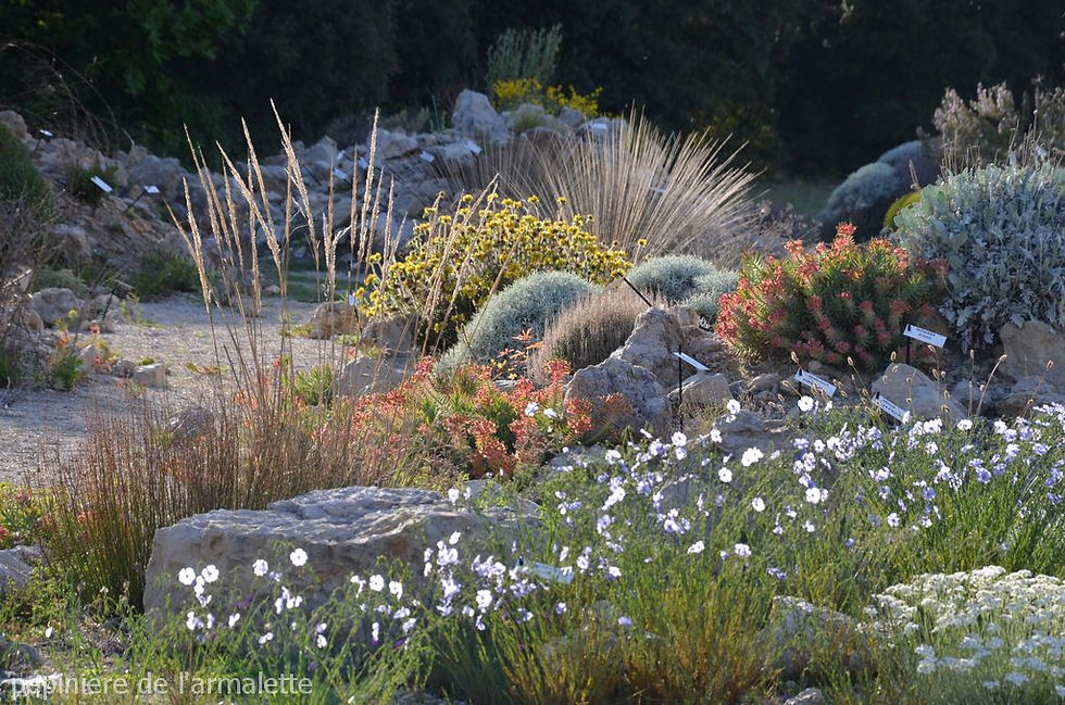 creation-jardin-naturel-1