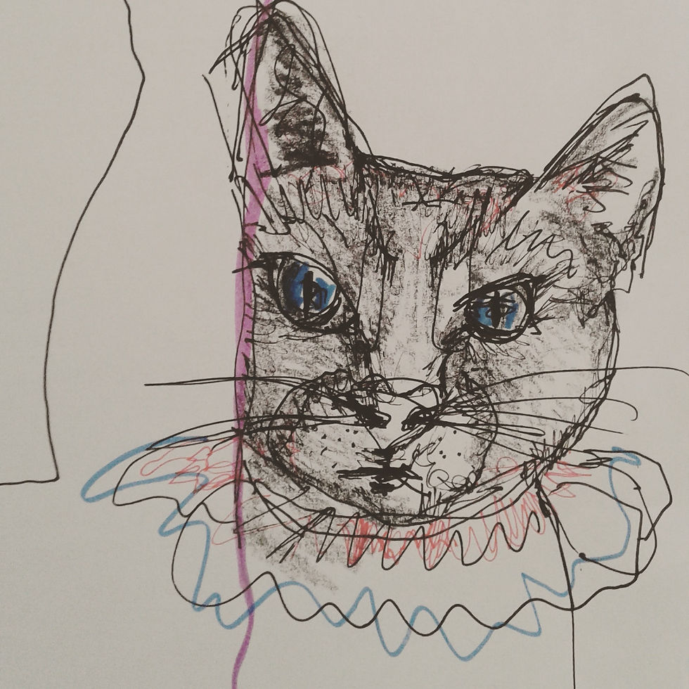 Gato