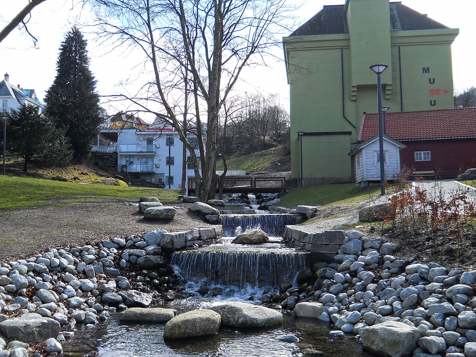 DSCN0954.JPG