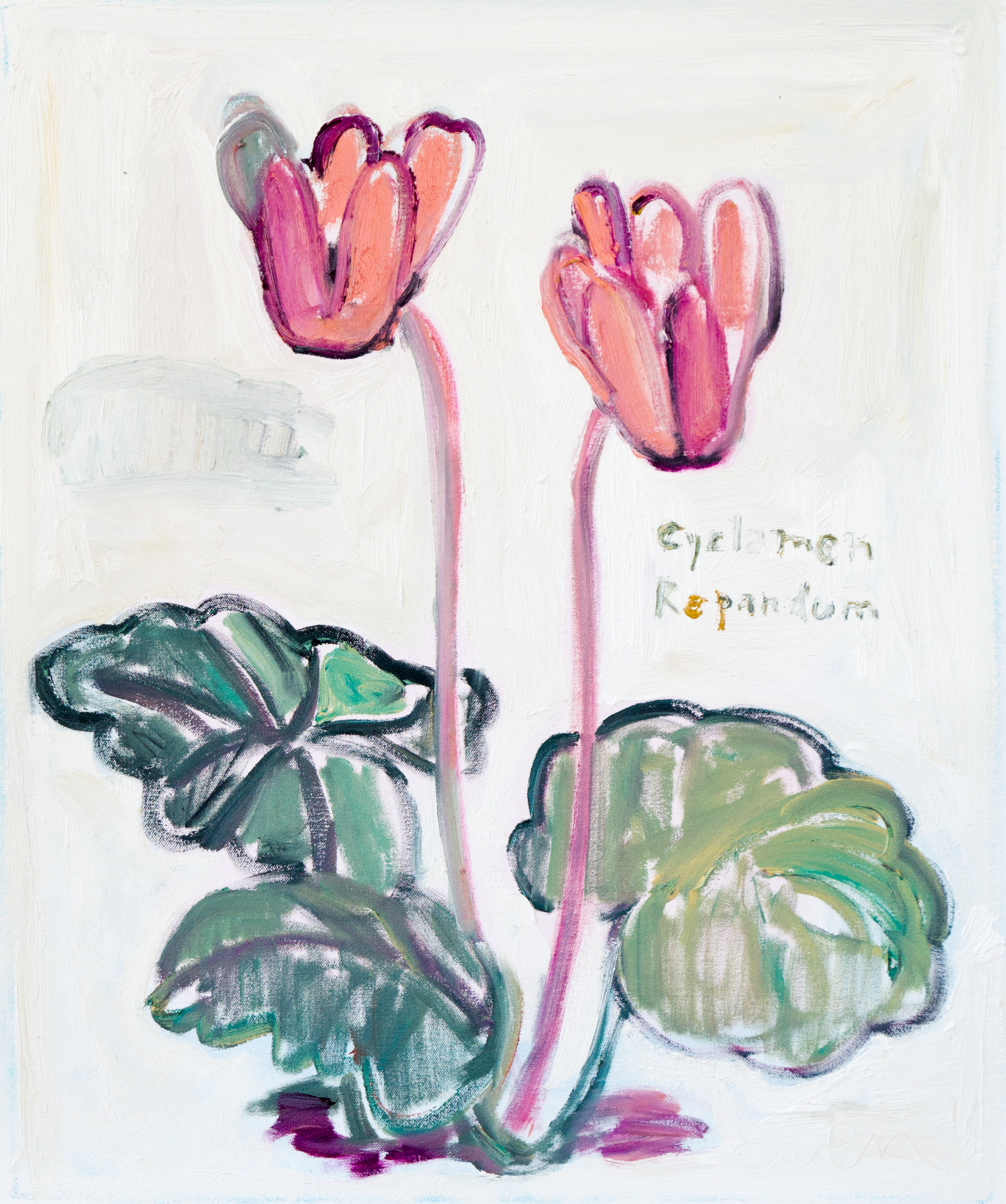 STRANGE FLOWERS FOR DARK TIMES