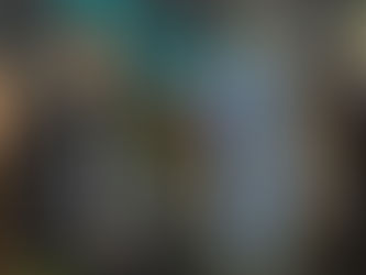 Why We Roll With a Robot