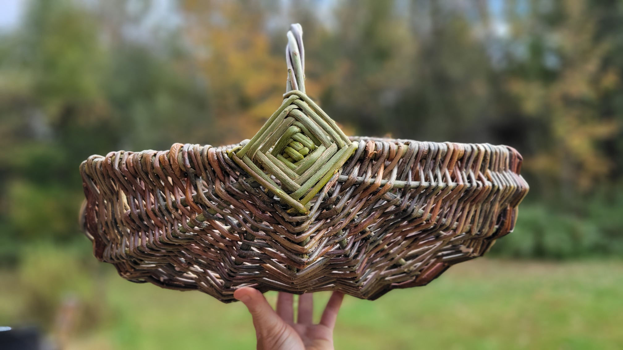 Panier sur Arceau - 11 & 12 avril