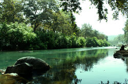 mandakini chitrakoot.jpg