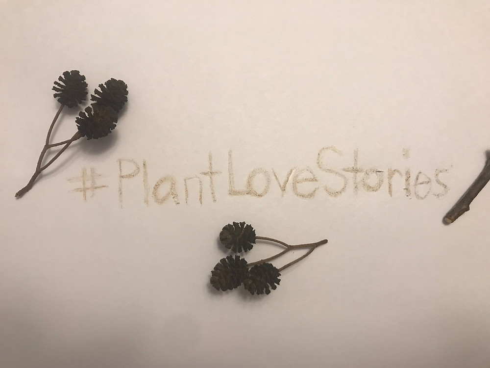 A message in alder pencil
